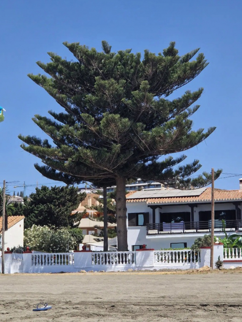 Location villa / maison la playa