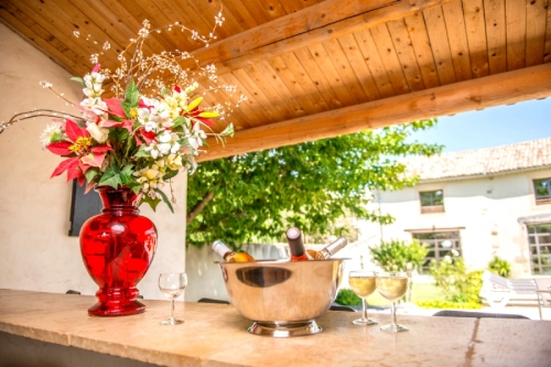Villa / maison mas avec spa en provence  montélimar 